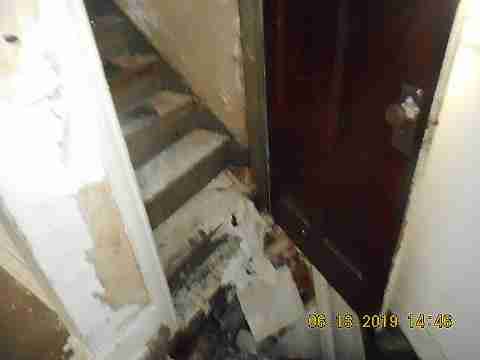 8266 Badger (26)_m.jpg